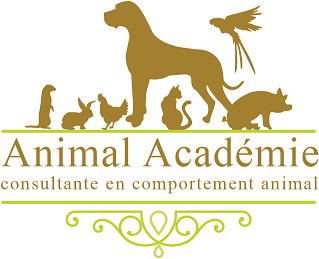 Animal Academie